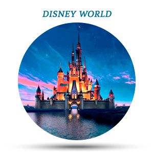 Disney-World-Sea-Turtle-inn---Visible