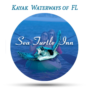 Kayaking-areas-Sea-Turtle-Inn-Hidden